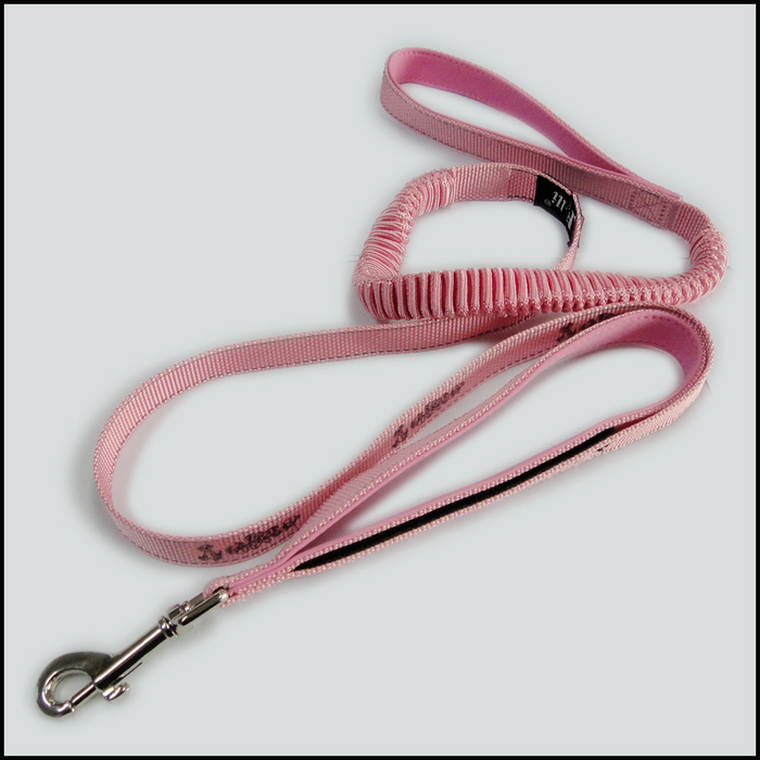 Secure with a glance of the pink elastic top quality pet collar dog leashes