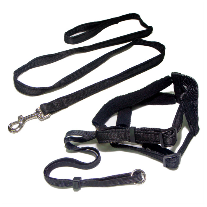 Strong safety nylon harness strap pet collar and dog leash