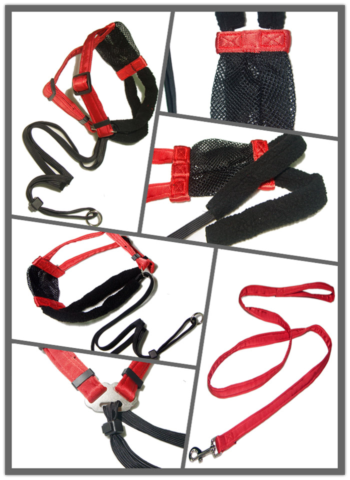 Strong safety red nylon harness strap dog collar and pet leash