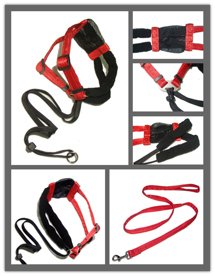 Strong safety red nylon harness strap dog collar and pet leash