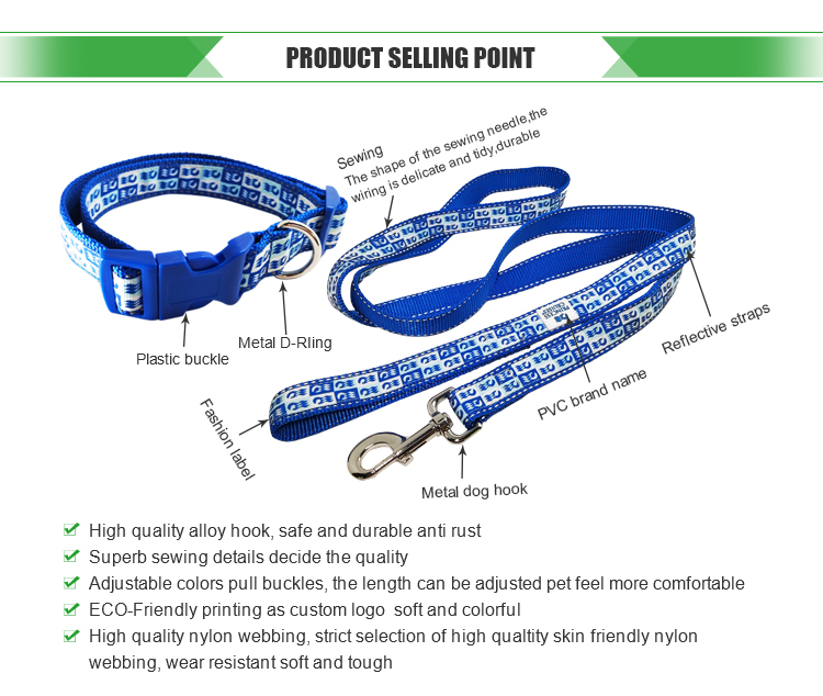 Blue Strong safety nylon reflective strap pet walking leashes and collar set