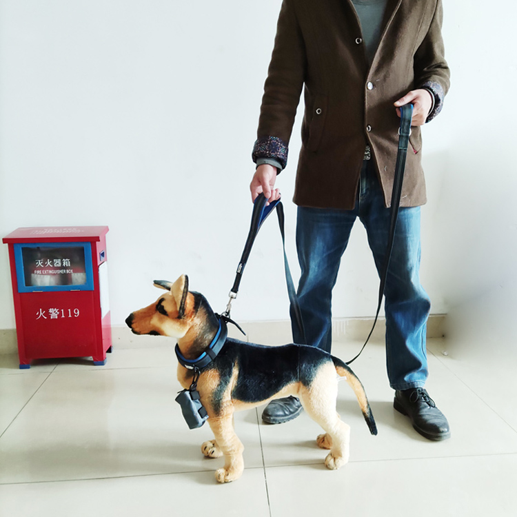 Pet collar and leashes walking jogging belt