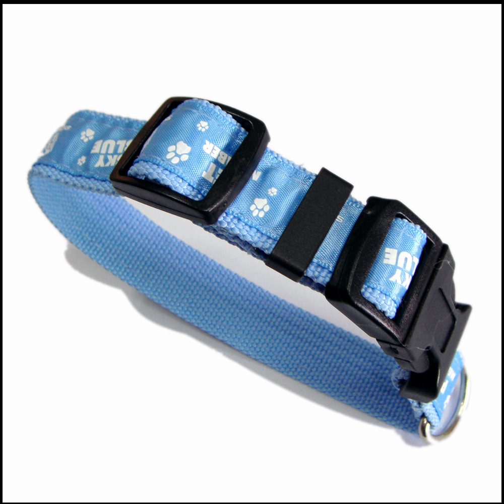 Small smart cute pet cats and puppies collars