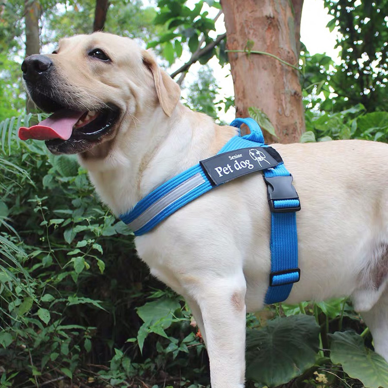 Fashion climbing custom bucket pet harness safety belt