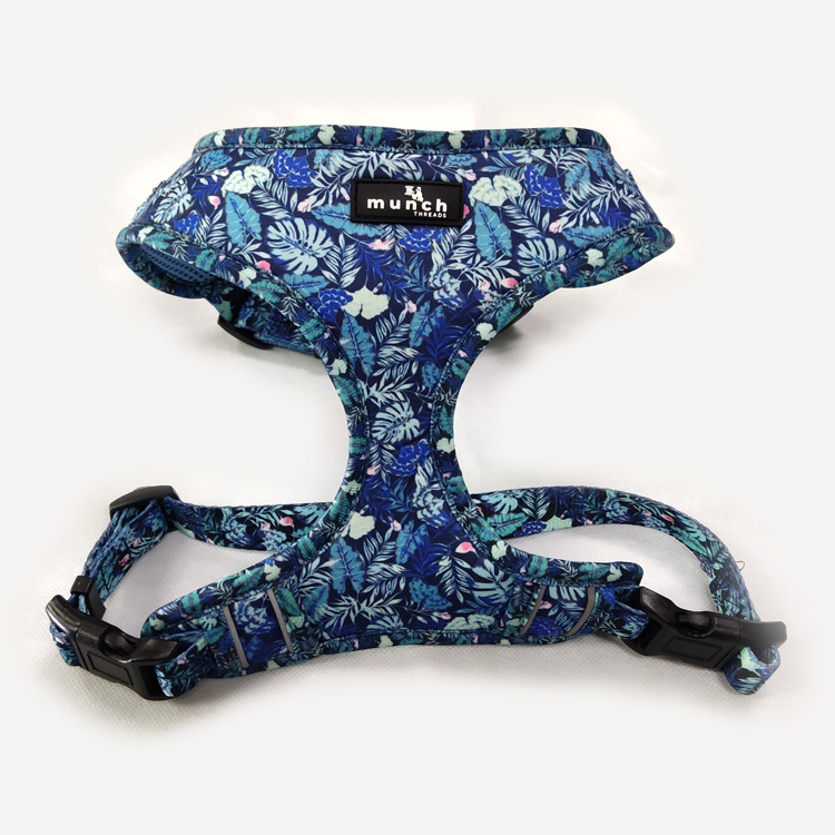 Luxury custom blue neoprene designer dog harness nylon leash 