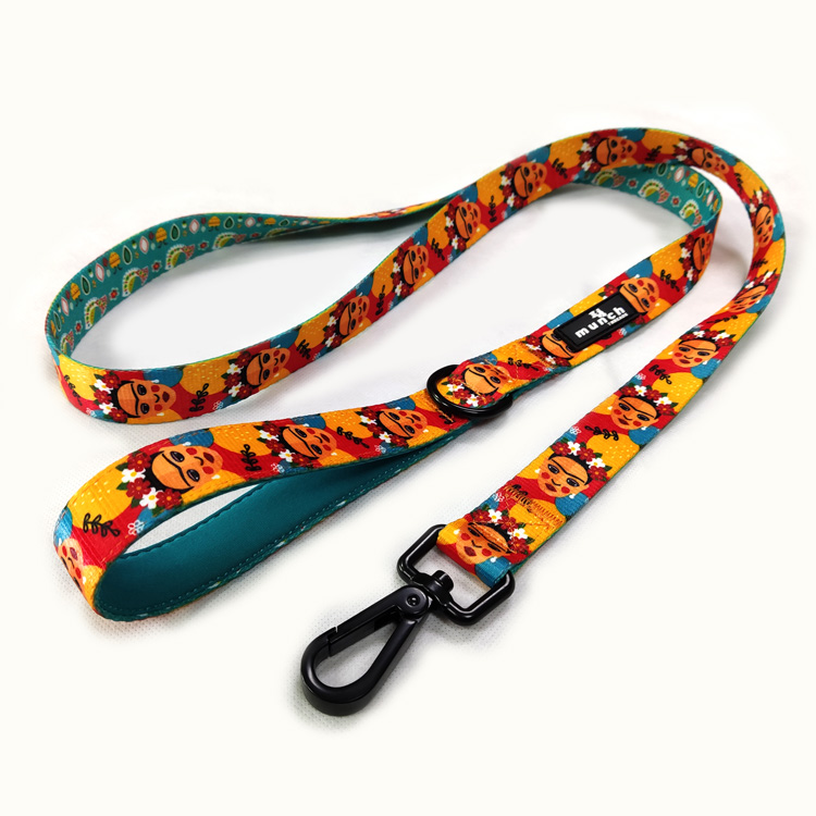 High quality durable long training webbing waterproof dog leash