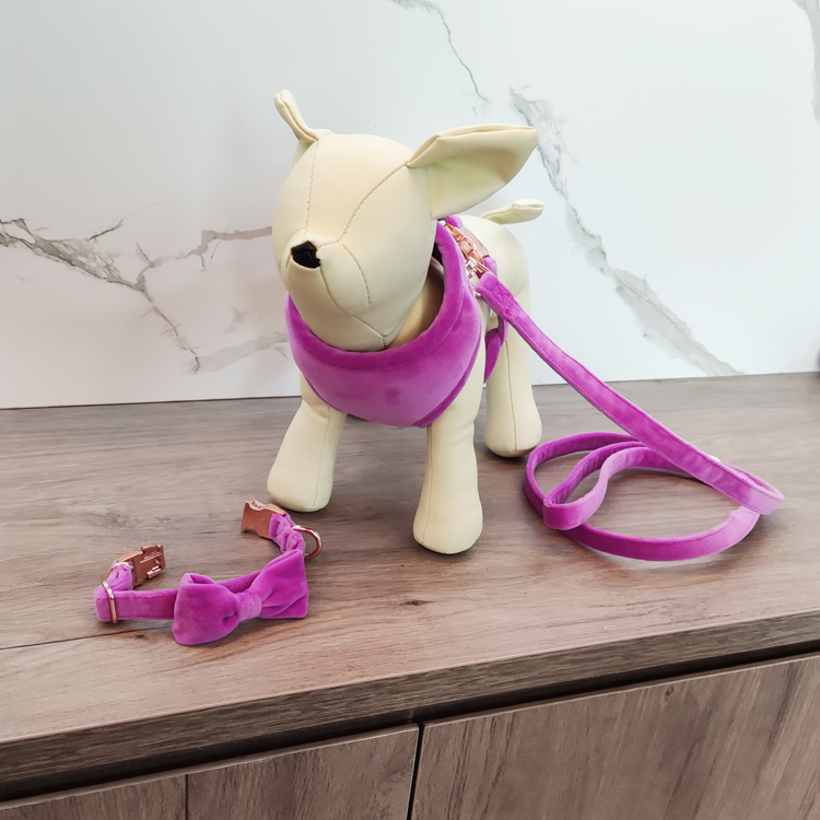 Lead the industry dog harness velvet pet collar leash set manufacturing