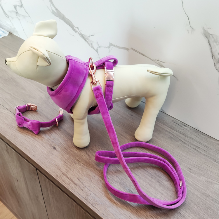 Lead the industry dog harness velvet pet collar leash set manufacturing
