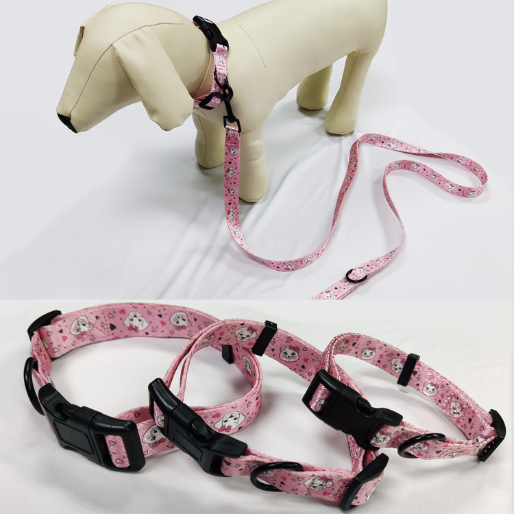 Custom strong nylon martingale heavy duty engraving braided climbing rope materials for dog leash and collar	