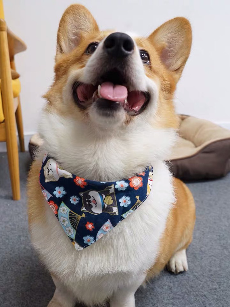 Designers spike pet no bark luxury acero collar para gatos dog hardware collar bandana sleeve