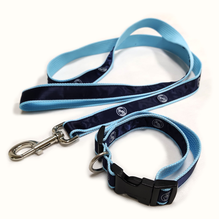 Wholesale fancy customised name brand logo simple XL soft pet supplies puppy dog paddes collars