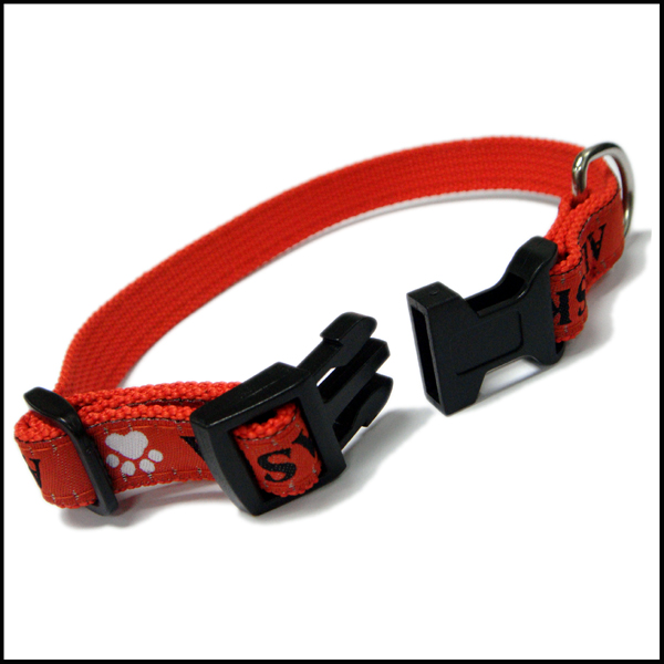 Hands free designer 10mm width puppy and cat leash set thick webbing side release buckles for dog collar