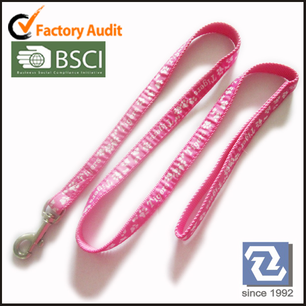 Hands free designer 10mm width puppy and cat leash set thick webbing side release buckles for dog collar