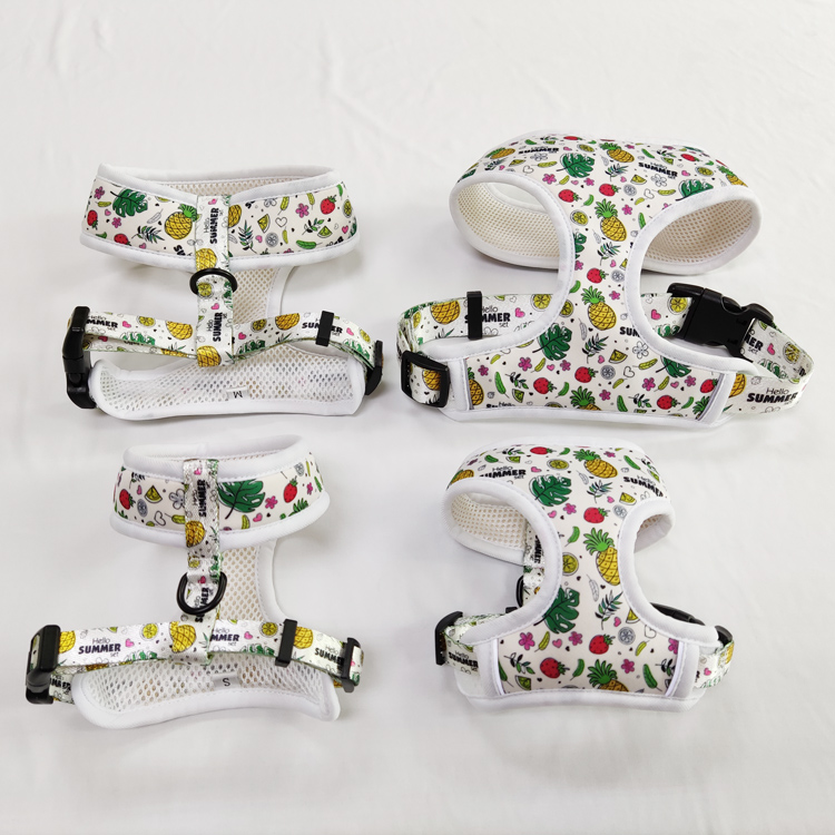 High quality cutom jean with tutu small puppy pet dog vest jacket harness and leash leads