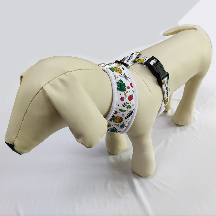 High quality cutom jean with tutu small puppy pet dog vest jacket harness and leash leads