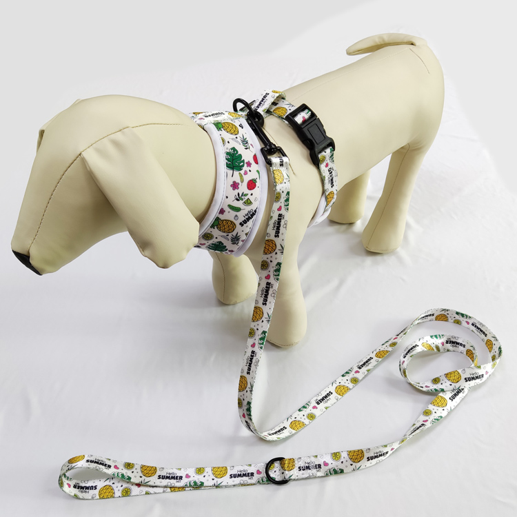 High quality cutom jean with tutu small puppy pet dog vest jacket harness and leash leads