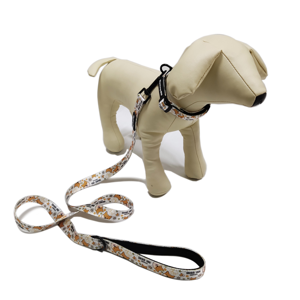 Design strong neoprene nylon rope adjustable webbing dog leash pet collars