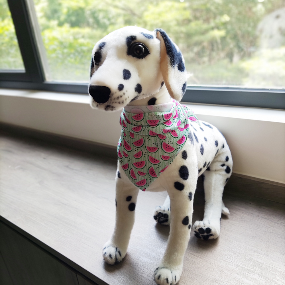 清凉西瓜图案三角形宠物头巾狗围脖