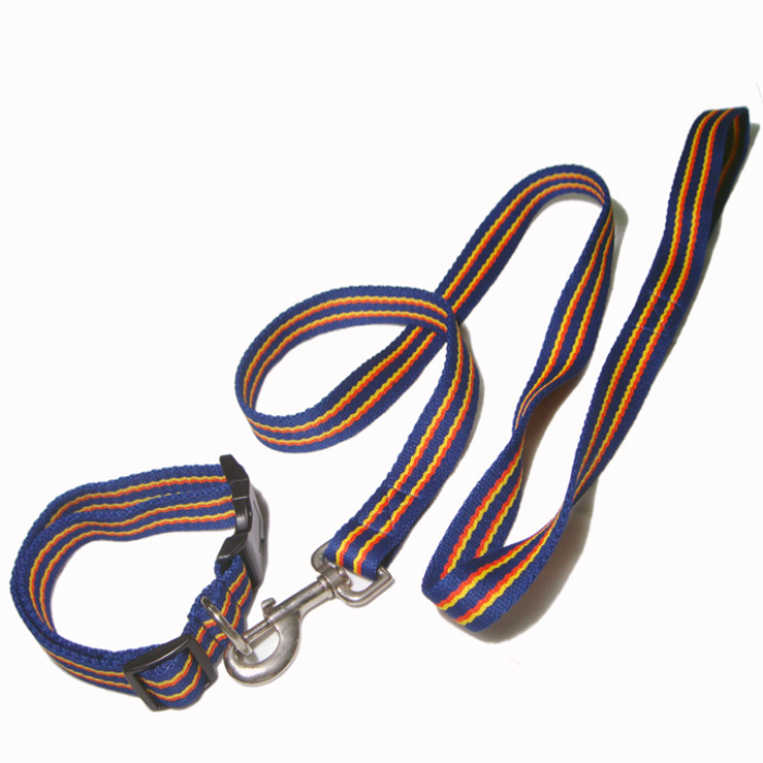 间色涤棉热销宠物牵引带项圈