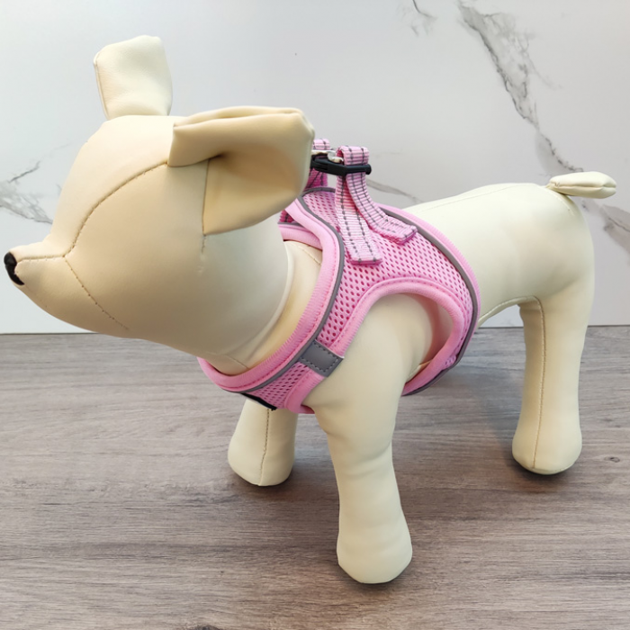 可爱的宠物狗猫宠物用品与印刷挽具衣服背心