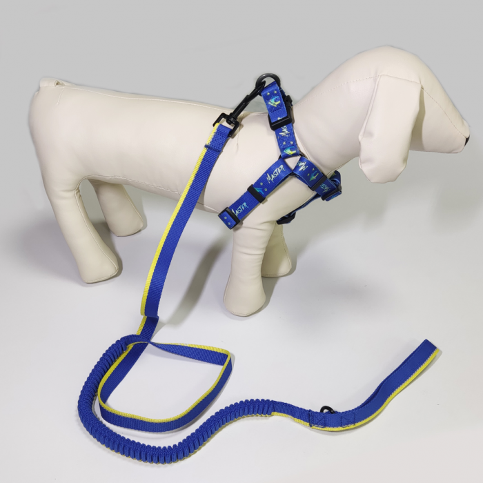 热转印图案涤泷松紧宠物牵引带可调节织带款宠物胸背带