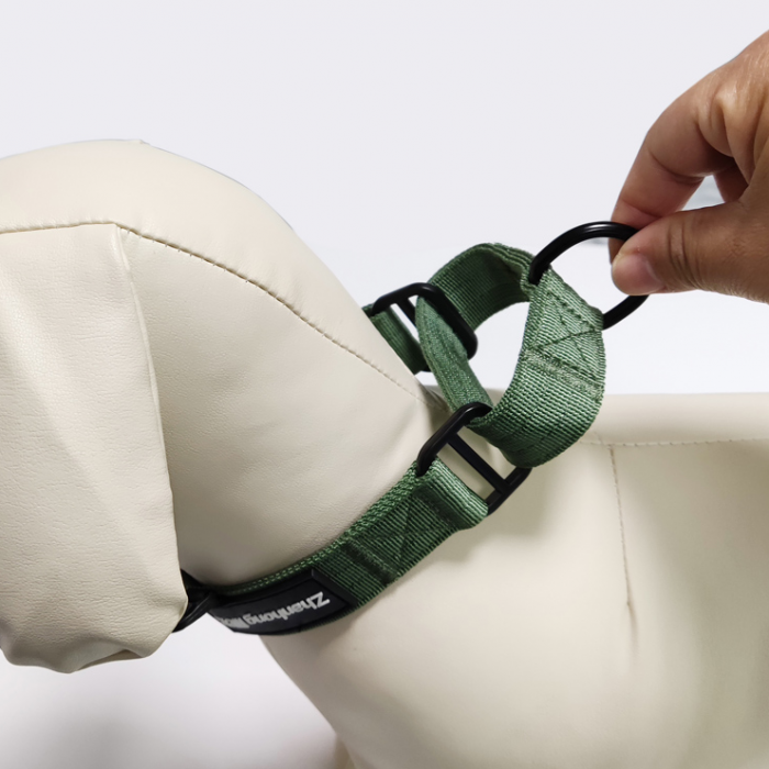 双层加厚牢固防暴走大狗项圈