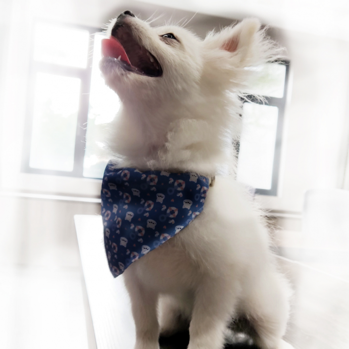 定制设计可爱图案三角巾小狗衣领项圈